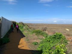 Walking behind Brancaster Staithe, edge of the marshes